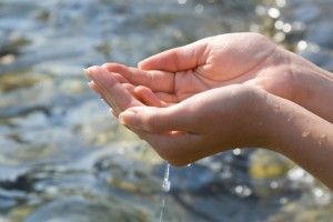 Hands with clean water in river